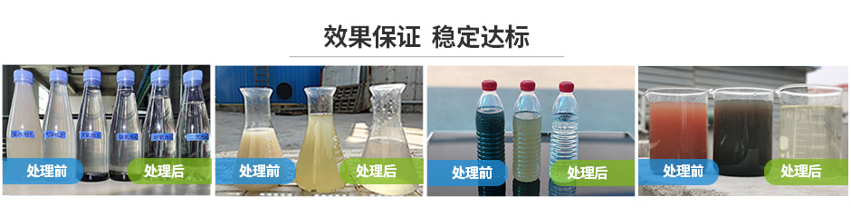 中原綠豐食品廢水處理2025_01 (2)